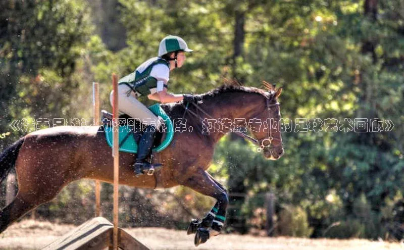 英国(正版)365官方网站百度健康《精美足球运动浮雕素材库，打造最专业的足球艺术画廊》