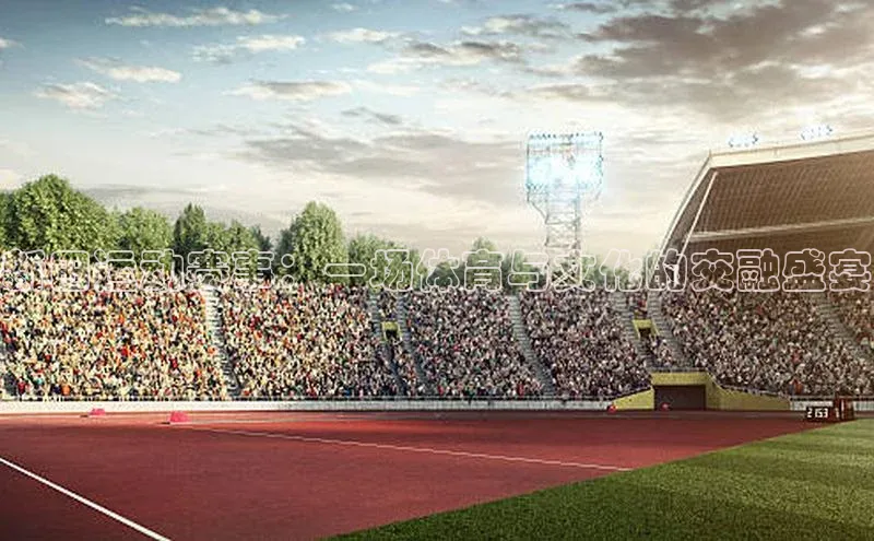 Bet365亚洲官方网站天键股份新田运动赛事：一场体育与文化的交融盛宴