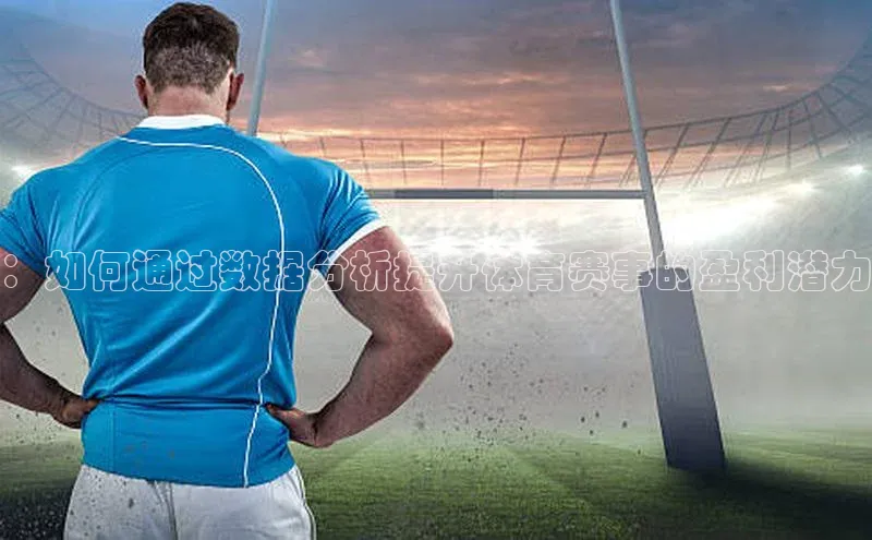 365英国官网登录入口视觉中国：如何通过数据分析提升体育赛事的盈利潜力