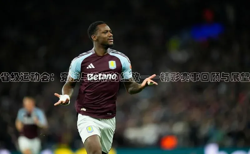 beat365·体育官网百度学术省级运动会：竞技与激情的绽放——精彩赛事回顾与展望