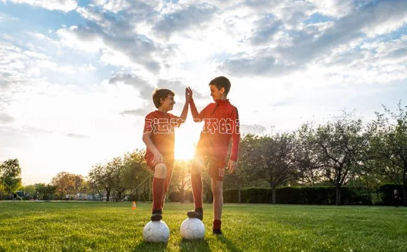 超越界限：UFC赛事运动手环的高科技魅力与智能体验