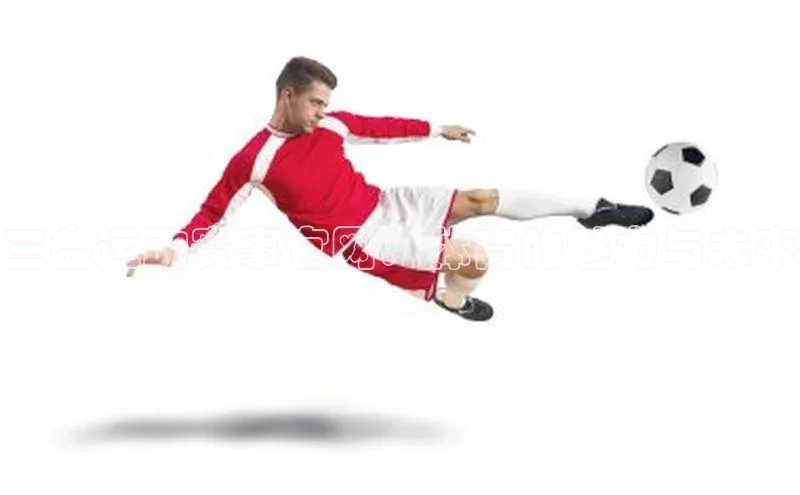 三益运动赛事官网：体育的魅力与未来