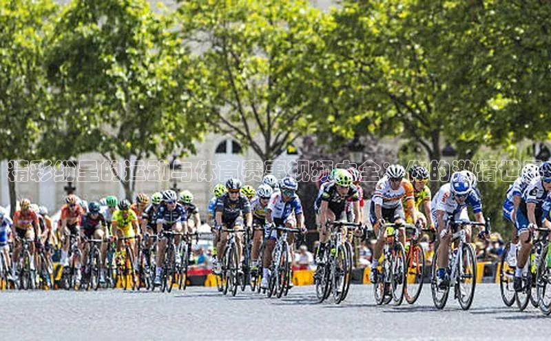 精彩纷呈的运动与体育赛事视频大全：你的激情世界