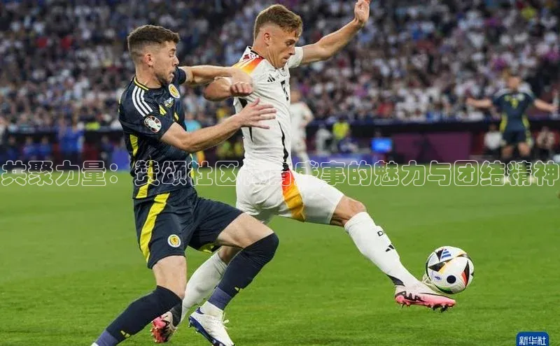 共聚力量：赞颂社区体育盛事的魅力与团结精神