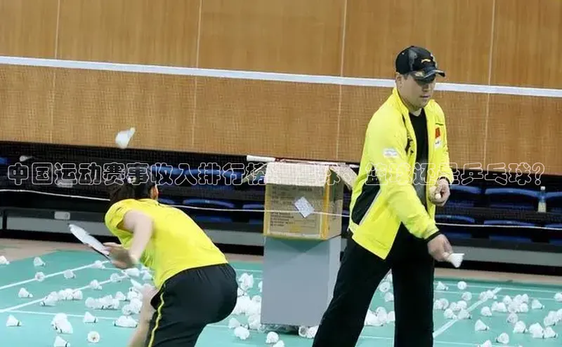 中国运动赛事收入排行榜：足球、篮球还是乒乓球？