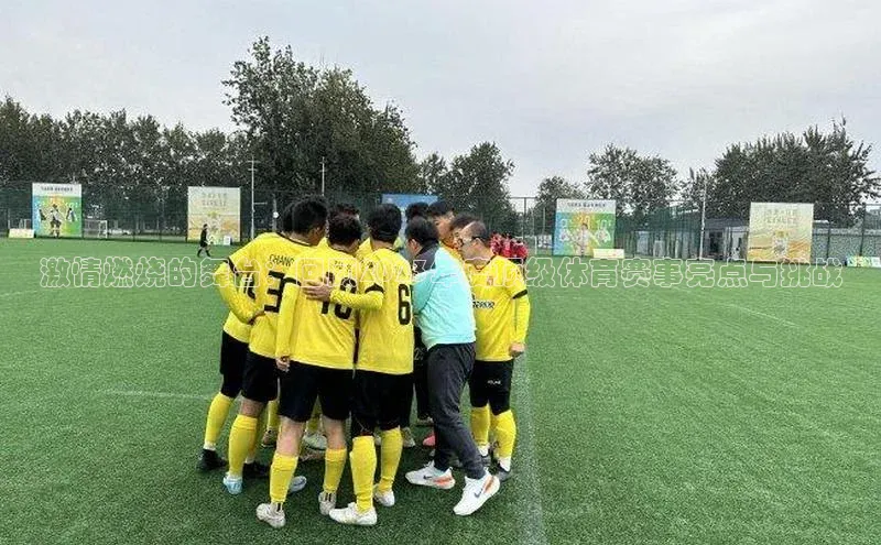 激情燃烧的舞台：回顾2023年度顶级体育赛事亮点与挑战