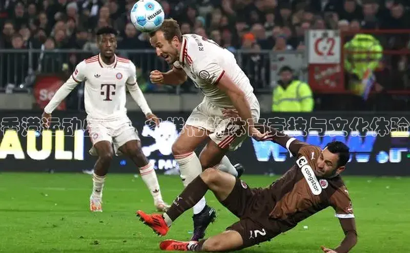 香港运动盛事：多样化的体育竞技与文化体验