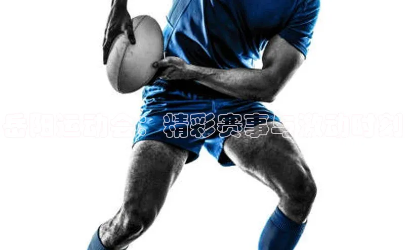 岳阳运动会：精彩赛事与激动时刻