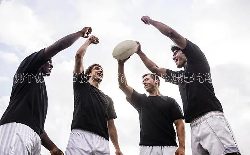 ：哪个体育赛事收入最高？四大顶级赛事的经济价值